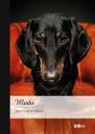 Mado - Preview