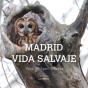 Madrid Vida Salvaje - Preview