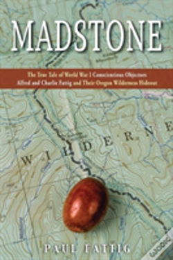 Capa do artigo Madstone
