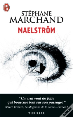 Capa do artigo Maelstrom