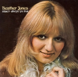 Capa do artigo Mae'r Olwyn Yn Troi - Vinil