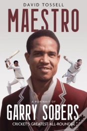 Capa do artigo Maestro