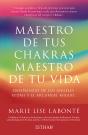 Maestro De Tus Chakras,Maestro De Tu Vida - Preview