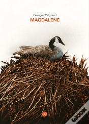 Capa do artigo Magdalene