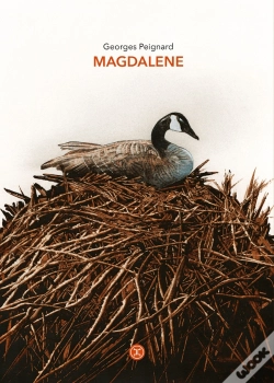 Capa do artigo Magdalene