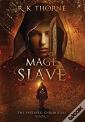 Capa do artigo Mage Slave