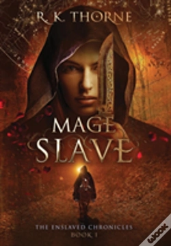 Capa do artigo Mage Slave