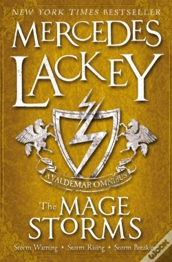 Capa do artigo Mage Storms