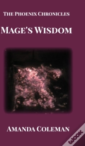 Capa do artigo Mage