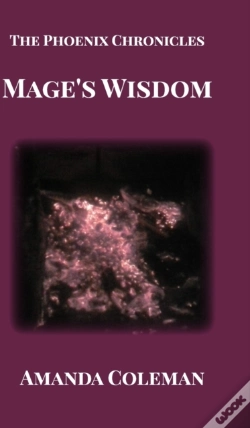 Capa do artigo Mage'S Wisdom