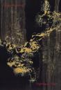 Maggi Hambling - Preview