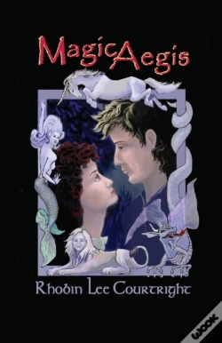 Capa do artigo Magic Aegis