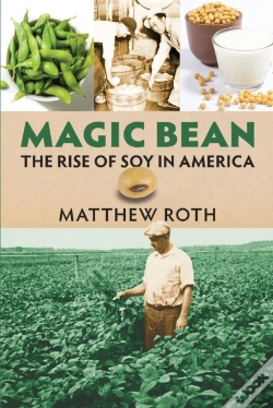 Capa do artigo Magic Bean