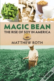 Capa do artigo Magic Bean