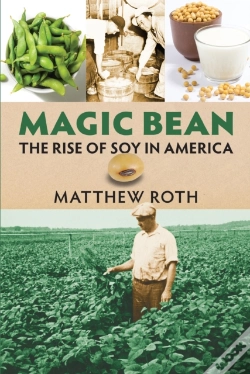 Capa do artigo Magic Bean