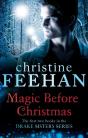 Magic Before Christmas - Preview