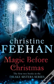 Capa do artigo Magic Before Christmas
