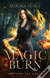 Capa do artigo Magic Burn