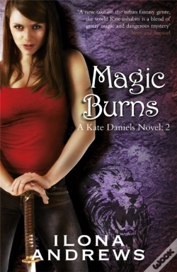 Capa do artigo Magic Burns