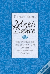 Capa do artigo Magic Dance