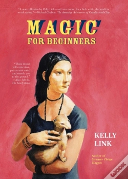 Capa do artigo Magic For Beginners