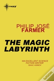 Capa do artigo Magic Labyrinth