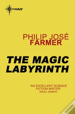 Capa do artigo Magic Labyrinth