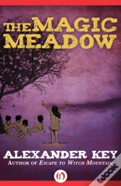 Capa do artigo Magic Meadow