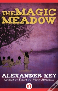 Capa do artigo Magic Meadow