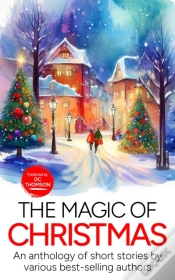 Capa do artigo Magic Of Christmas