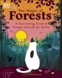 Magic Of Forests - Preview