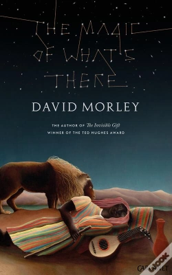 Capa do artigo Magic Of What'S There