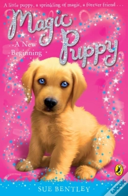 Capa do artigo Magic Puppy: A New Beginning