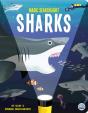 Magic Searchlight - Sharks - Preview