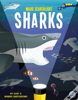 Capa do artigo Magic Searchlight - Sharks
