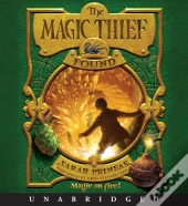 Magic Thief: Found