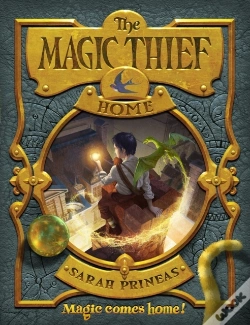 Capa do artigo Magic Thief: Home