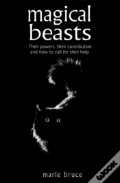 Capa do artigo Magical Beasts