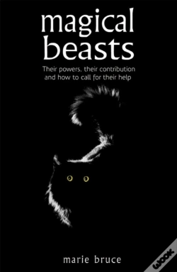 Capa do artigo Magical Beasts