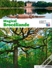 Capa do artigo Magical Brocéliande