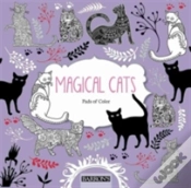 Capa do artigo Magical Cats