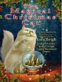 Magical Christmas Cat - Preview