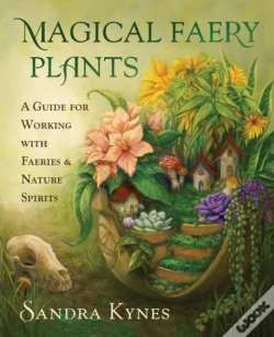 Capa do artigo Magical Faery Plants