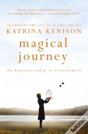Capa do artigo Magical Journey