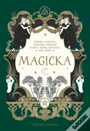 Capa do artigo Magicka