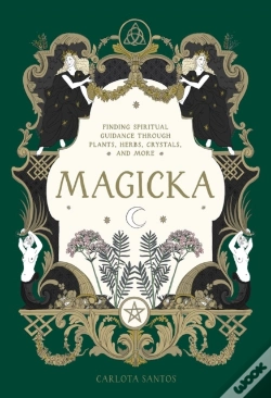Capa do artigo Magicka