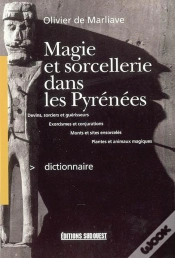 Capa do artigo Magie Et Sorcellerie Dans Les Pyrenees