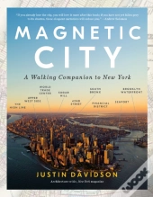 Magnetic City