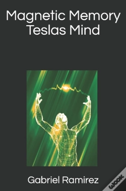 Capa do artigo Magnetic Memory Teslas Mind