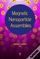 Magnetic Nanoparticle Assemblies
